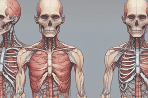 Anatomy and Physiology Quiz