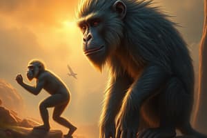 Human Evolution and Primate Adaptations