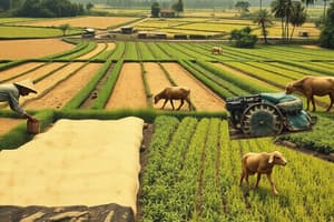 Farming-Based Livelihood Systems