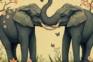 Elephant Communication Quiz