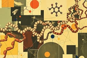 Amino Acids Overview