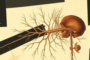 Cranial Nerves - Peripheral Nervous System Part A