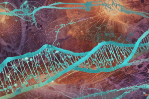 Biochemistry LE 5: Gene Transcription