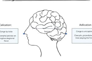 Cognitive Abilities: Piaget's Stages