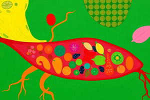 Nutrient Uptake Mechanisms