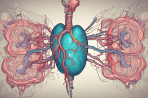 Thyroid Hormone Regulation