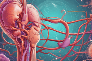 Kidney Functions and Processes