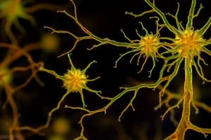 Neuroglial Cells in Nervous System