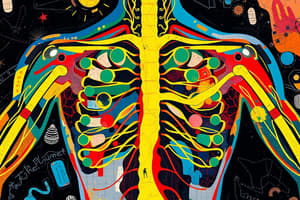 Biology chapter 4.3 Nervous System Functions Overview