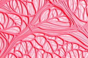 Muscle Tissue Overview and Structure