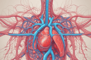 Pulmonary Circulation Characteristics