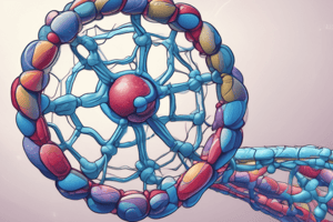 Dogma Central de la Biología Molecular