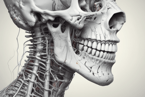 Masticatory Mucosa and Gingiva