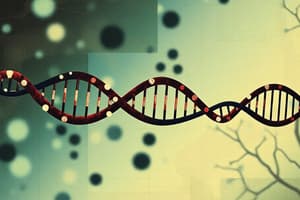 DNA Replication Mechanism Quiz