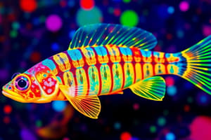 Zebrafish UV Vision and Prey Capture Behavior