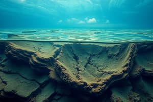 Seafloor Spreading & Subduction Concepts