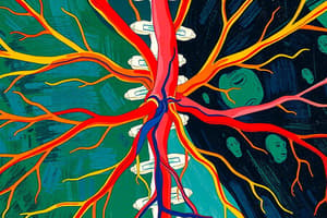 Nervous System VII Flashcards