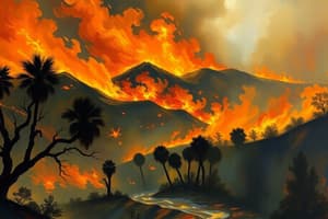 Los Angeles Wildfires, January 2025