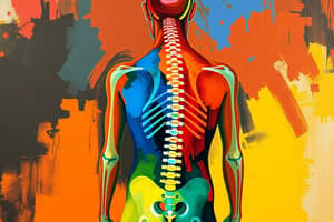 Postural Analysis: Spine and Plumb Line