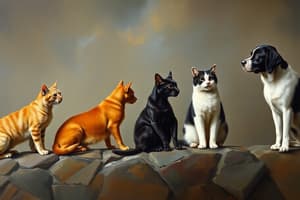 Evolution of Domestic Cats and Dogs