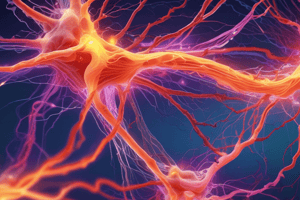 Action Potential: Step-by-Step Animation