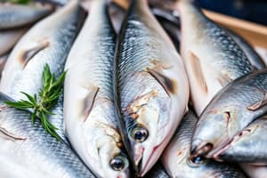 Fishery Products Quality Overview