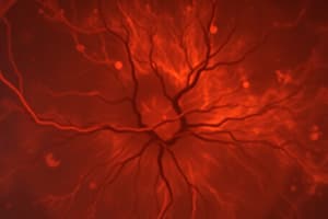 OCT Imaging in Retinal Conditions Quiz