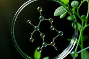 Green Chemistry Principles and Metrics