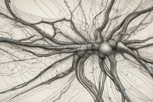 Neural Signaling Process