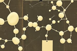 Monosacáridos: Estructura y Clasificación