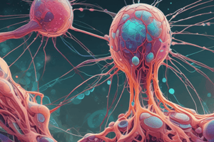 Lymph Node Circulation and Interaction Quiz