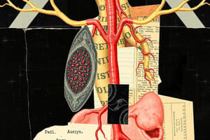 Endocrine System Overview Quiz