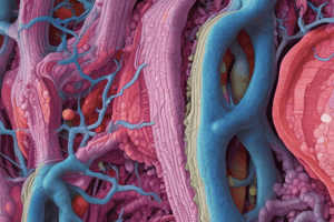 BioSci 107 Lecture 2: Tissues of the Body Epithelium Quiz