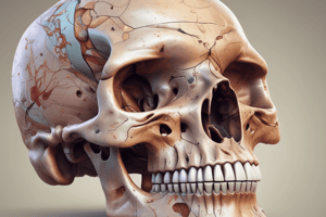 SKULL Vet Prep Structural and Functional Biology Quiz