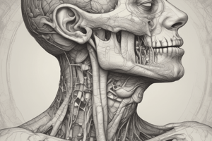 pharynx and esophagus