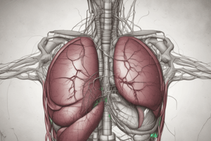 Hepatic Vascular Anomalies Chapter 284