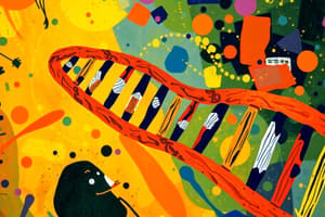 L2 Transcription of Eukaryotic Genes