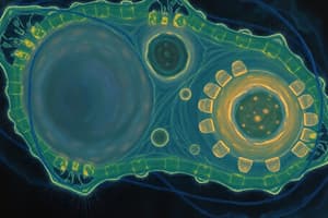 Cell Cycle Control System Quiz