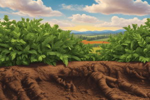 Soil vs. Dirt: Key Concepts in Chapter 12