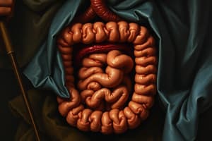 Intestinal Obstruction: Types and Causes