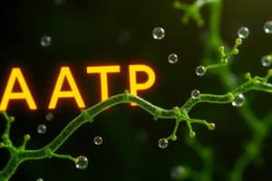 Microbial Metabolism Quiz