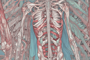 Clinical Anatomy: Cartilage and Connective Tissue