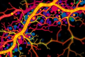 Transporte Axonal y Sistema Nervioso