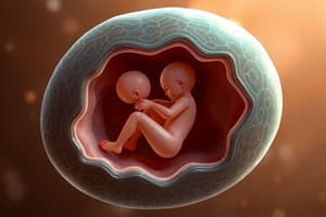 Embryonic Development Quiz