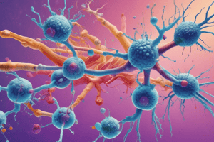 IgG Antibody Functions and Characteristics