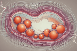 Biology: Triglycerides and Lipid Profile