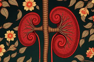 Renal Function & Disorders Quiz