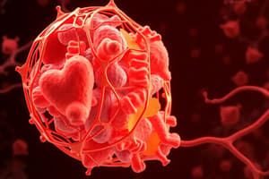 Peroxisome Protein Targeting: L10