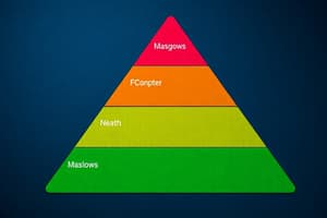 Maslow's Hierarchy of Needs Quiz