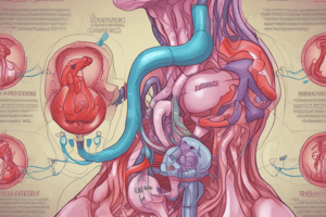 Thyroid Hormones Circulation and Conversion Quiz